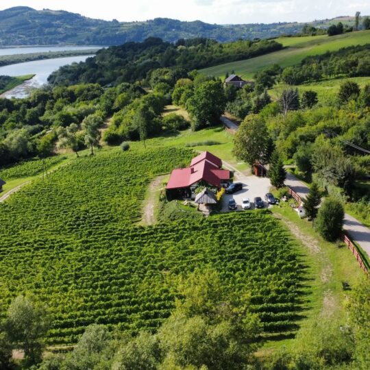 Winnica Gródek